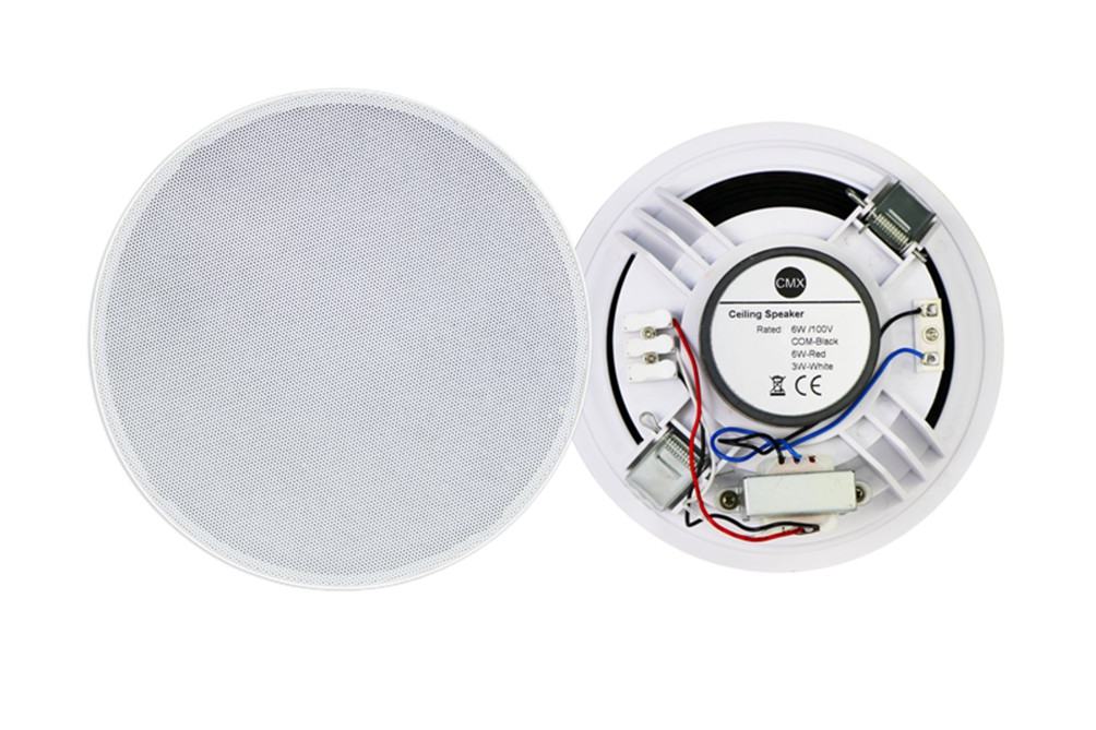 Ceiling Speaker